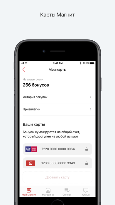 Moy magnit ru app utm source offline