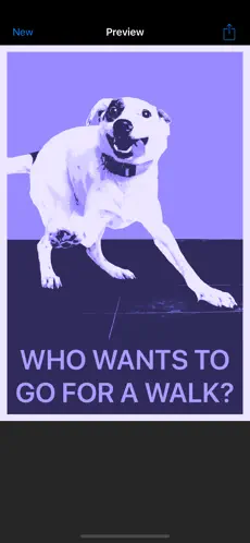 230x498bb.webp