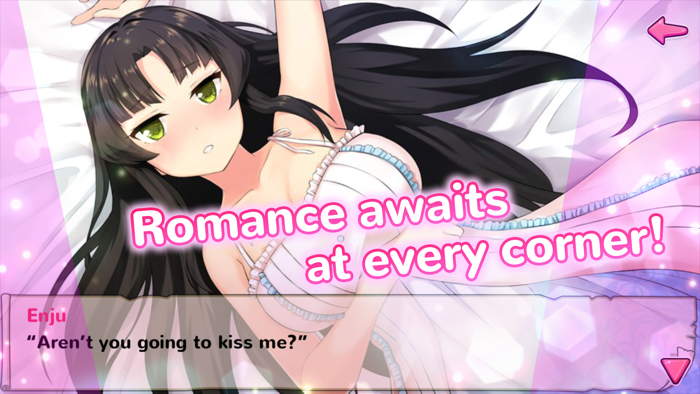 Moe Ninja Girls Visual Novel