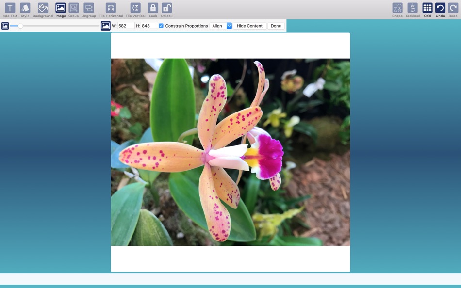 #9. CalliPro (macOS) Bởi: Diwan Software Limited