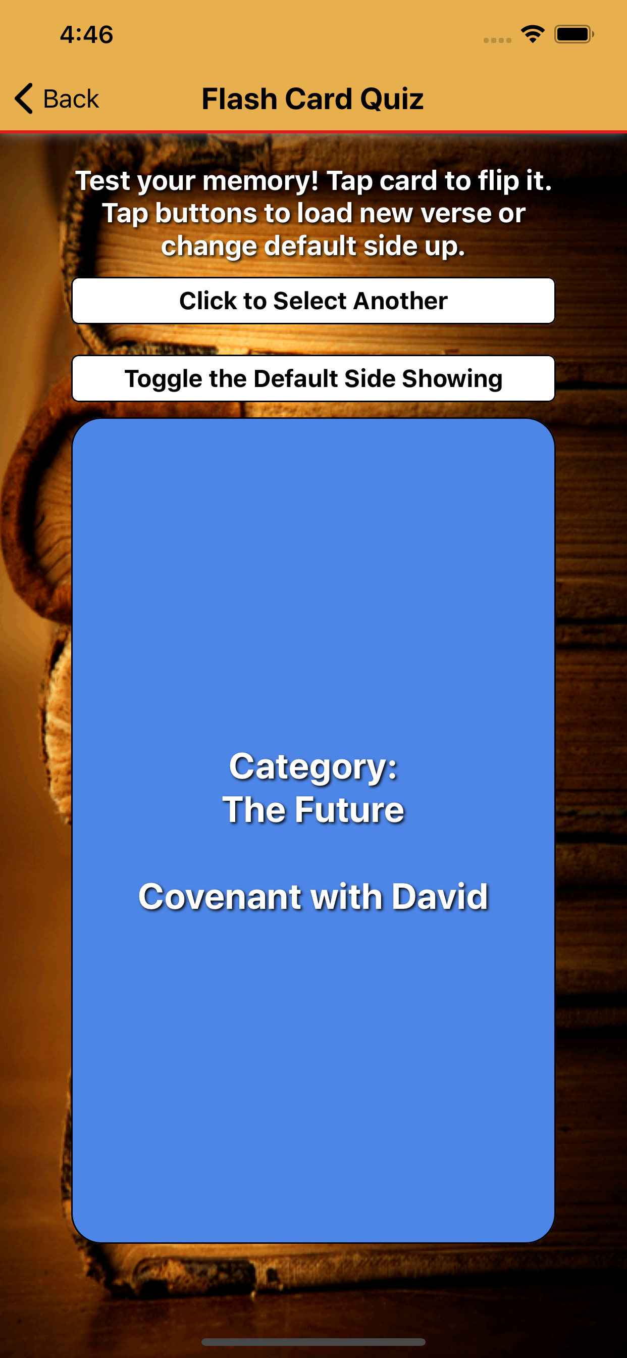 Ryrie Theology Central Passage screenshot 4