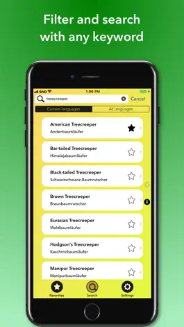Game screenshot Bird Names Dictionary apk