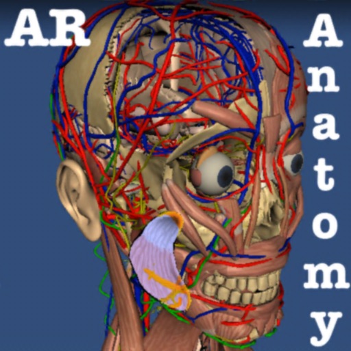 AR Anatomy ++ by Andrea Carlomaria Sertorio