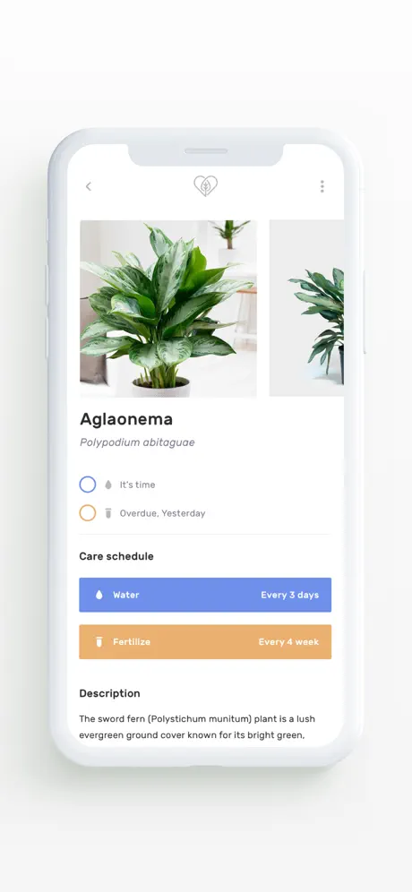 Planter