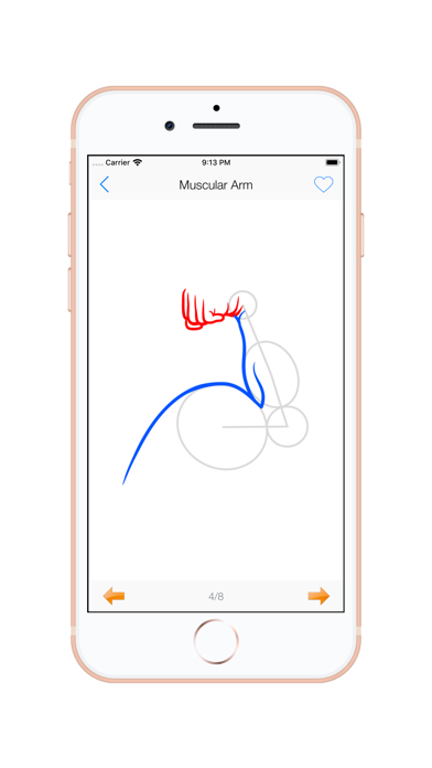 Draw Human Body - Hair Style Screenshot