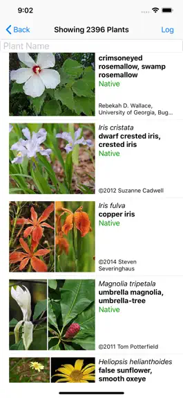 Game screenshot Arkansas Wildflowers apk