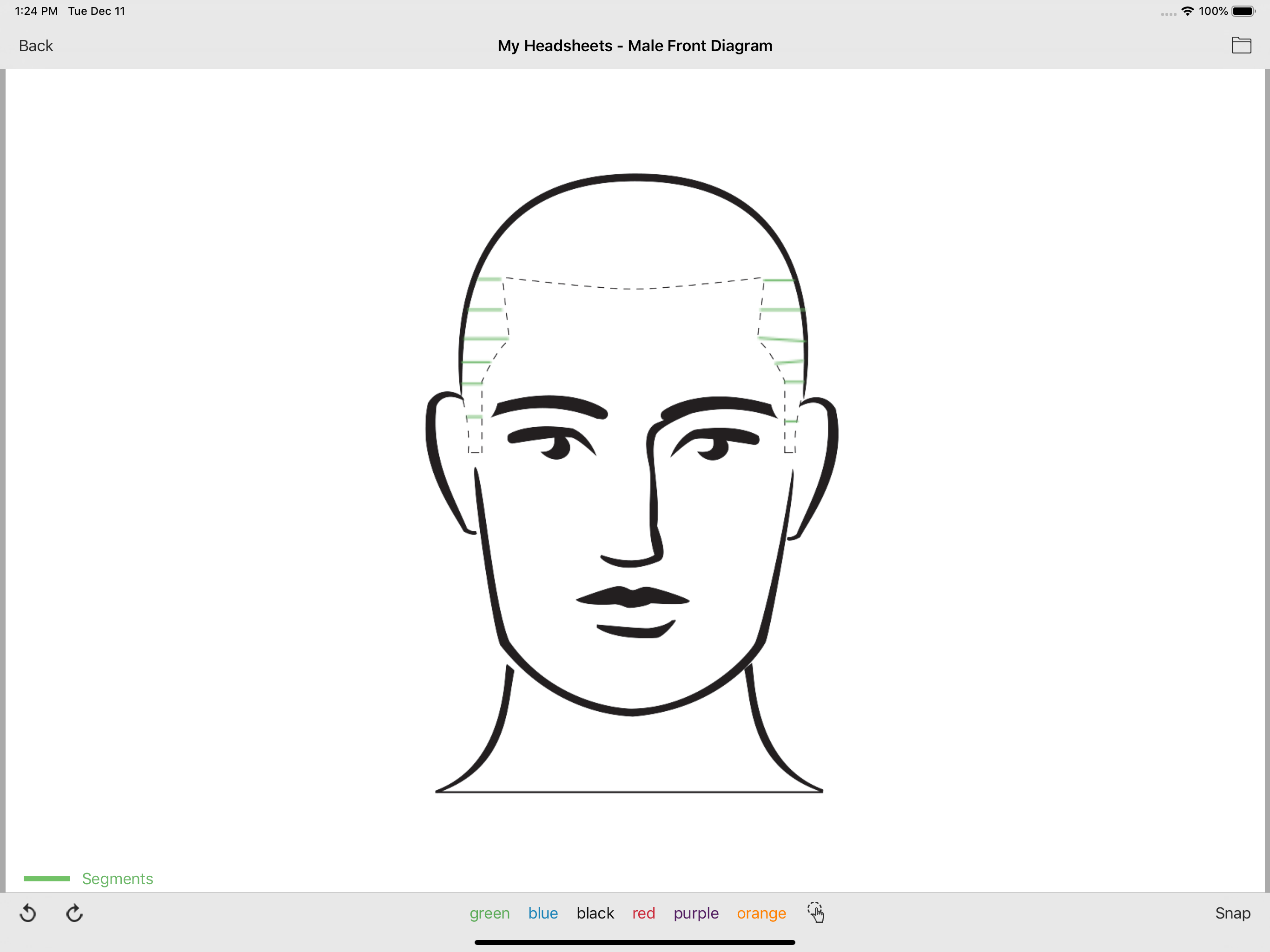 The Barber & Short Hair System
