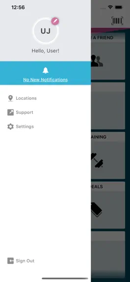 Game screenshot Brio Leisure hack