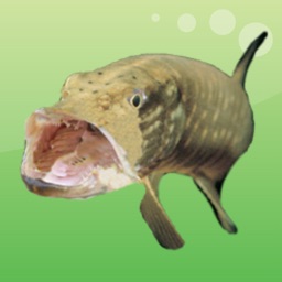 Coarse And Game Fishing