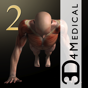 IMuscle 2 app download