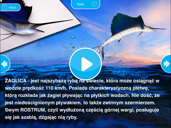 Screenshot #4 pour Loloki