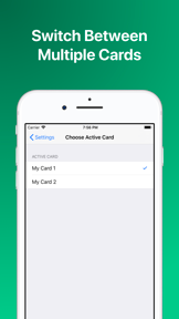 Leap Card screenshot