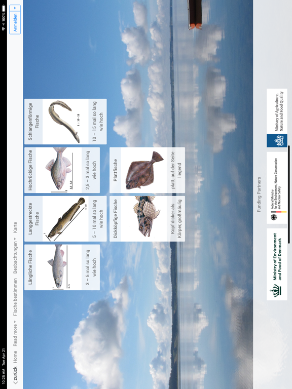 Screenshot #6 pour SWIMWAY FishExplorer