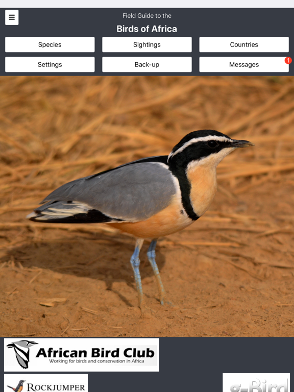 Screenshot #4 pour Birds of Africa