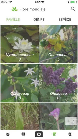 Capture d'écran de PlantNet sur iPhone 5