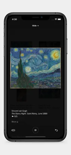 Captura de Pantalla 4 MoMA Audio iphone