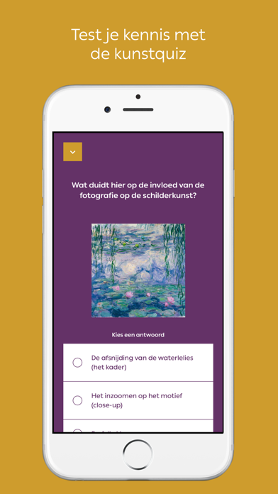 Kunstmuseum Den Haag Screenshot