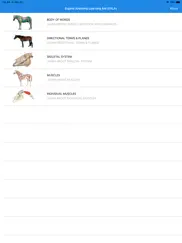 equine anatomy learning aid ipad images 1