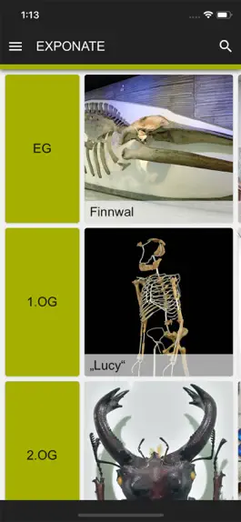 Game screenshot Senckenberg Naturmuseum apk