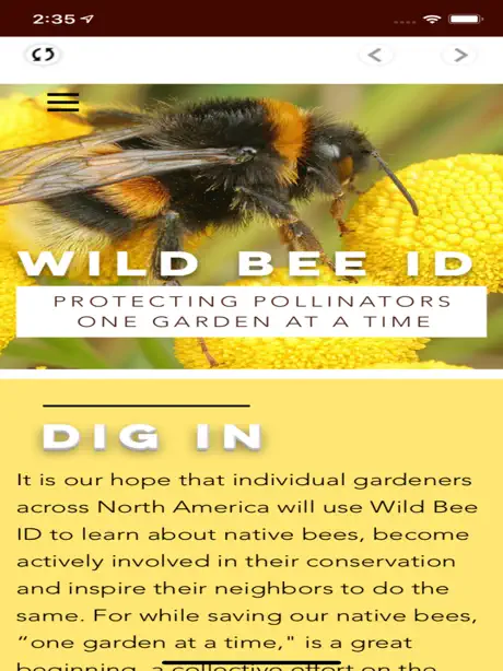 Wild Bee ID