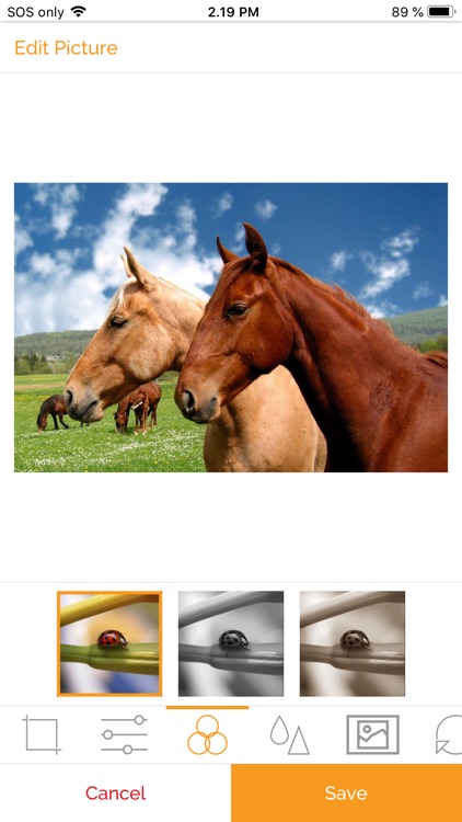 Heathcotes Photo Centre screenshot-5