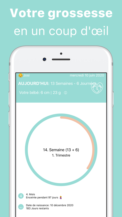 Screenshot #2 pour Semaine de grossesse
