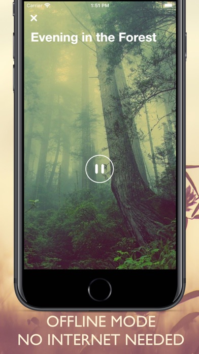 Sleep Sounds & White Noise. Screenshot