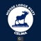 With our app Celina Moose Lodge members will be able to stay connected easier than ever