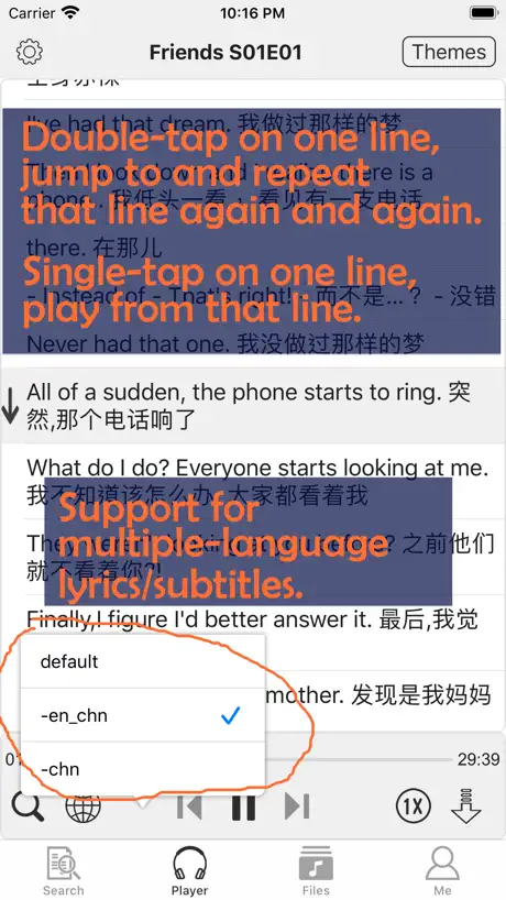 lyric player, subtitle player