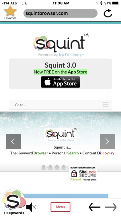 Squint Browser screenshot-0