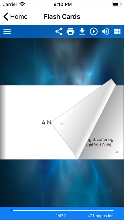 NYS Global History Regents screenshot-6