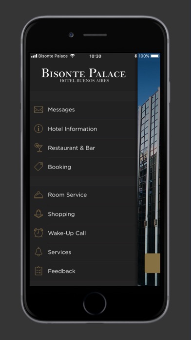 Bisonte Palace Hotel screenshot 2