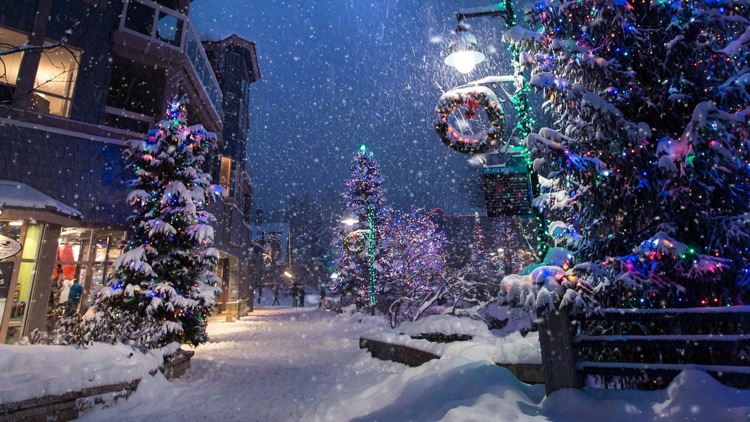 Peaceful Snowfall HD screenshot-4