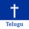 Icon Telugu Bible HD