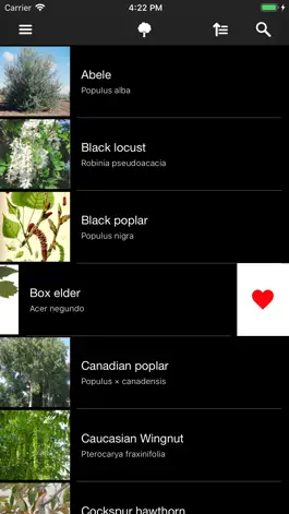 Game screenshot Deciduous Trees 2.0 hack