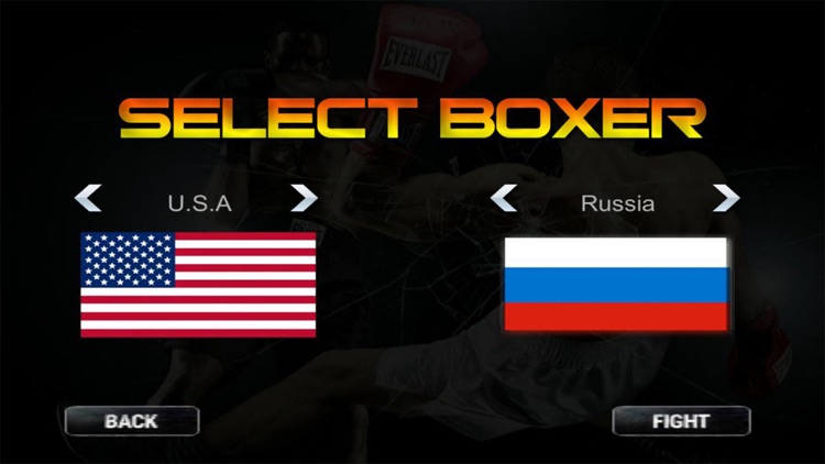 Real 3D Boxing Punch Pro