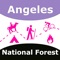 THE ALL NEW ADVANCED NATIONAL FOREST MAPS ARE FOR HIKERS, CAMPERS, ADVENTURE SEEKERS, NATURE LOVERS COMBINED FOR ALL RECREATIONAL ACTIVITIES