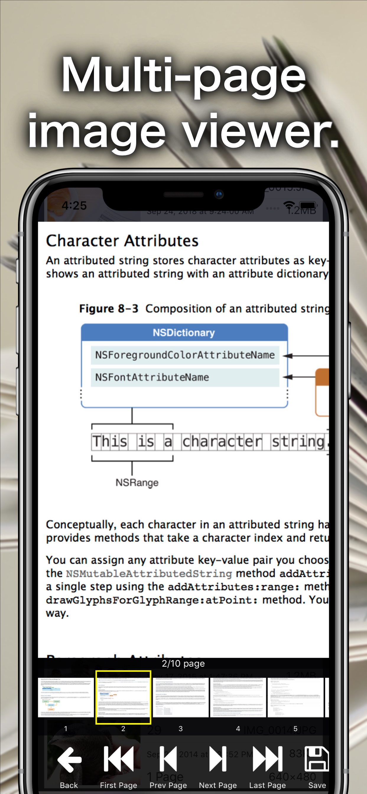 Multi-page Image Viewer