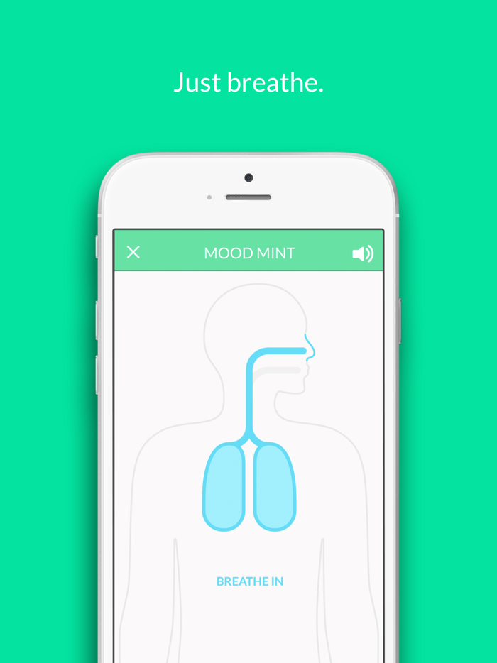 Mood Mint – Boost Your Mood