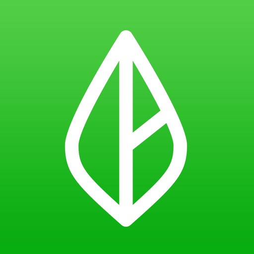 Branch: Budget & Get Paid Now