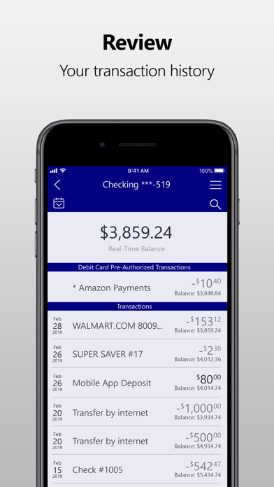 Dickinson County Bank Screenshot