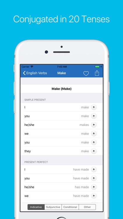 English Verb Conjugator Pro screenshot-4
