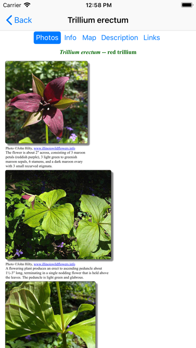 Ohio Wildflowers Screenshot