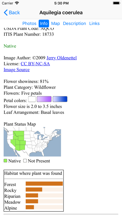 Arizona Wildflowers Screenshot