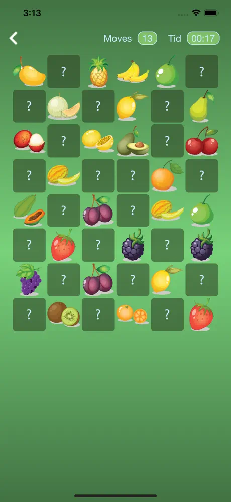 Fruit and Match