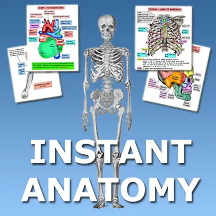 Instant Anatomy Flash Cards Cheats