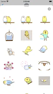 lovely budgie animated sticker problems & solutions and troubleshooting guide - 3
