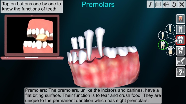 Incredible Human Teeth screenshot-3