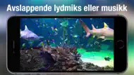 Akvarium Live HD iphone bilder 2