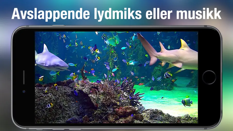 Akvarium Live HD iPhone-skjermbilde 3